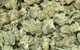 View full size image Berry White (Popcorn)